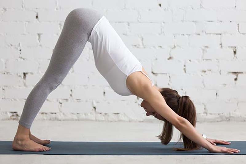 Yoga online cho người mới bắt đầu
